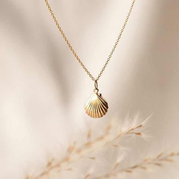 Long deals seashell necklace